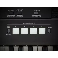 Teclado Arranjador Yamaha Psr-ew425